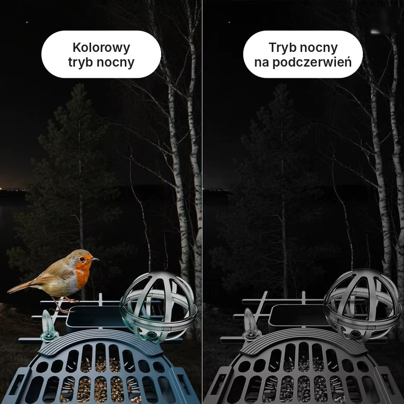 Karmnik z kamerą – zobacz z bliska, kto przylatuje